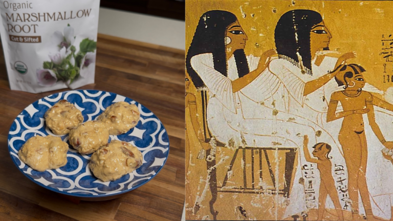 The History of the Marshmallow: From Sacred Root to Sugar Confection