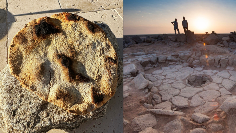 The Oldest Bread Recipe in the World: Natufian Flatbread (c. 12,500 BC)
