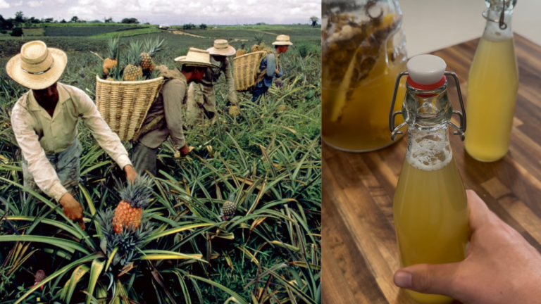 Authentic Tepache Recipe: How to Make Mexico’s Ancient Fermented Pineapple Drink at Home